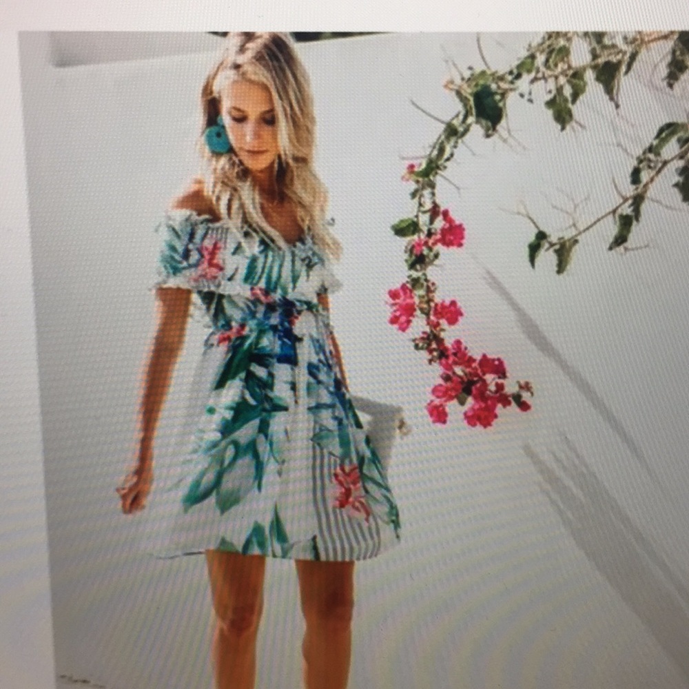 Vici Palmetto Smocked Off The Shoulder Dress